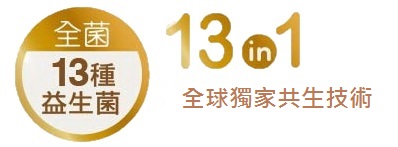 13in1_1
